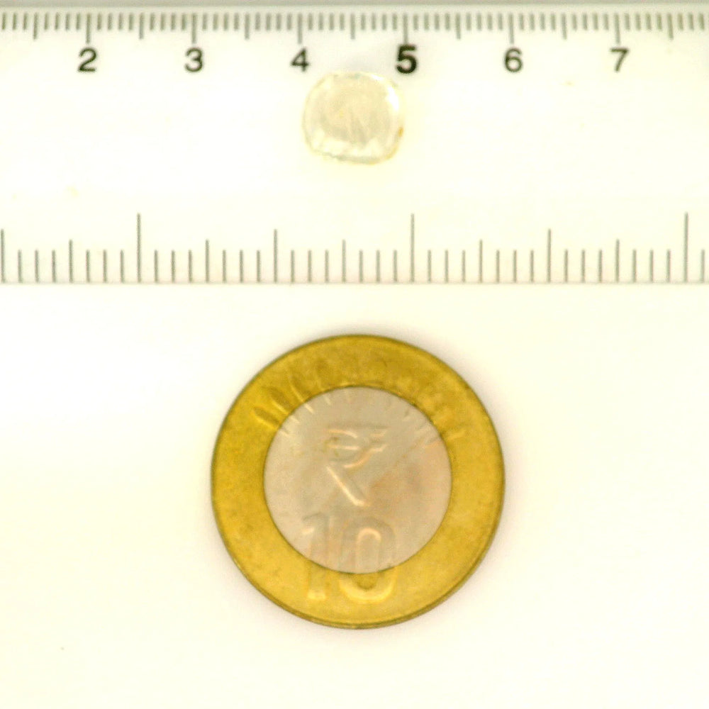 ITLGR_122126_SCALE.webp