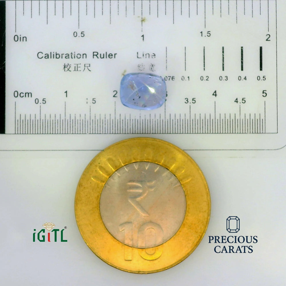 IGITL_197787_SCALE.webp