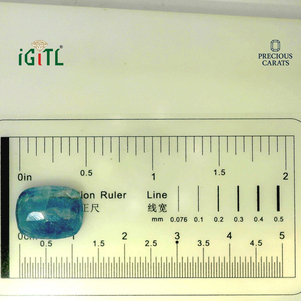 IGITL_194687_SCALE.webp
