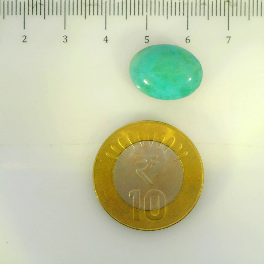 ITLGR_107249_SCALE.webp