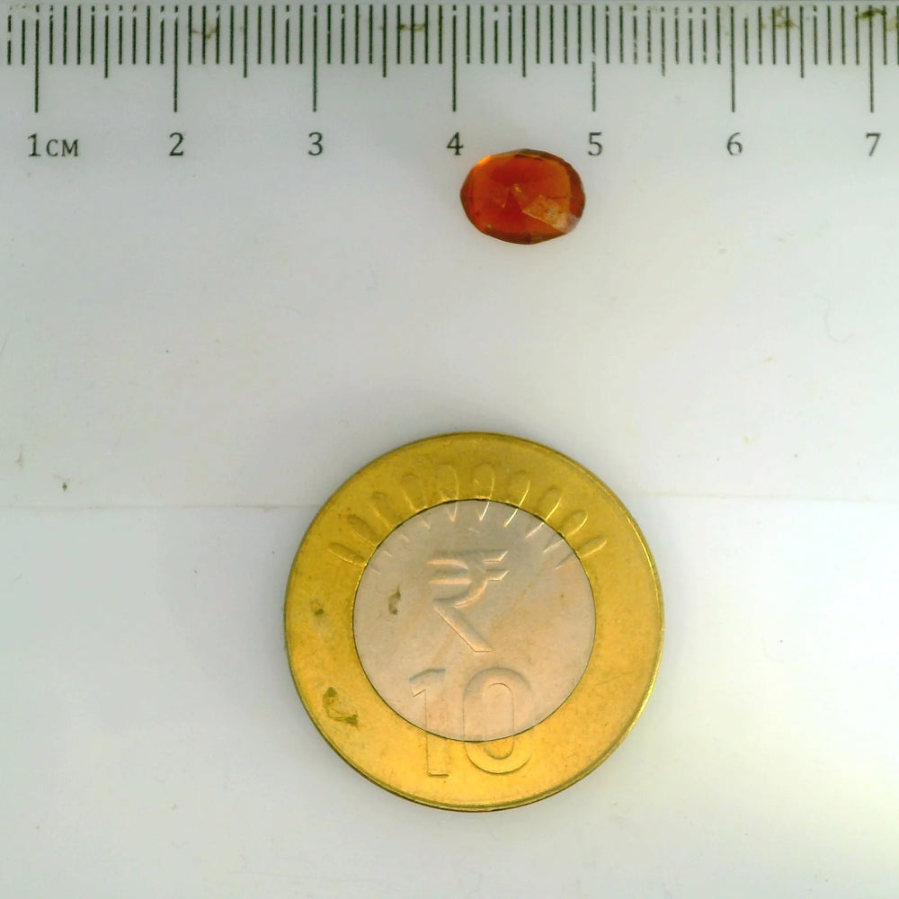 ITLGR_104127_SCALE.webp