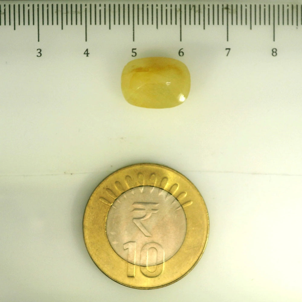 ITLGR_106756_SCALE.webp