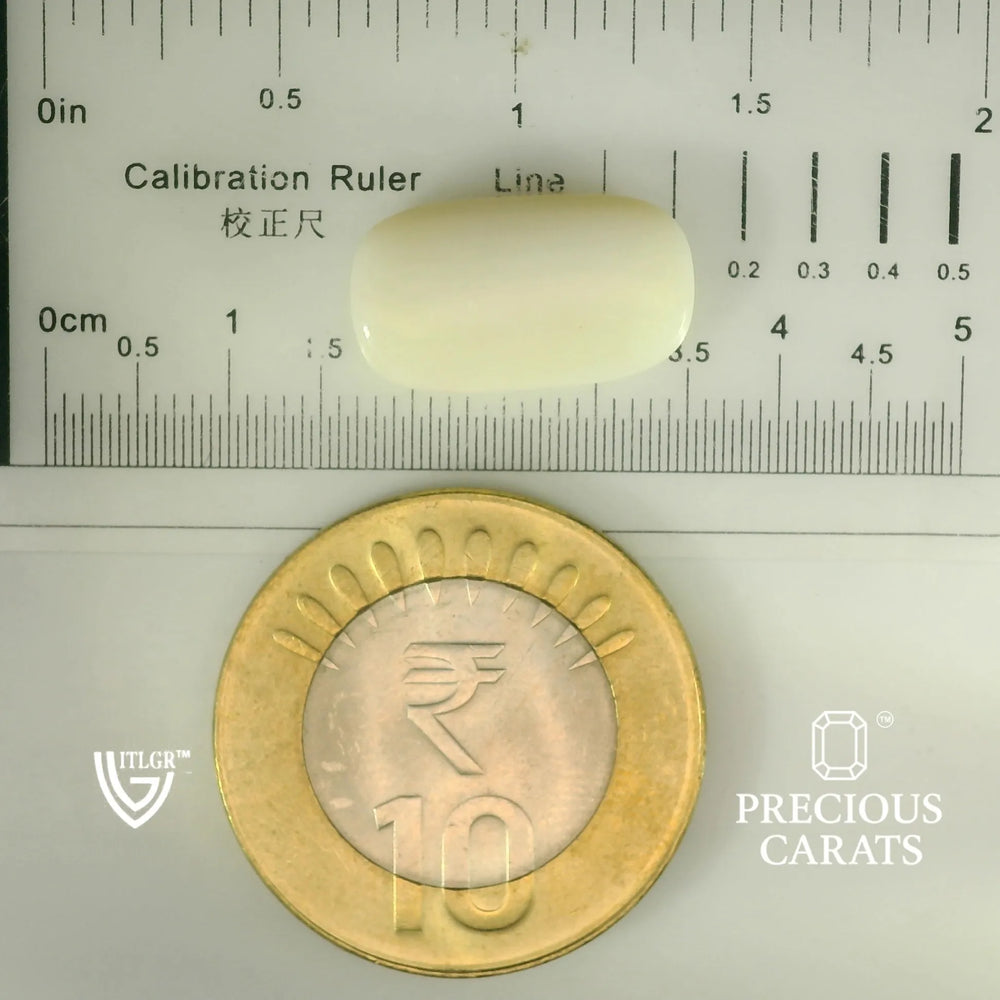 ITLGR_101873_SCALE.webp