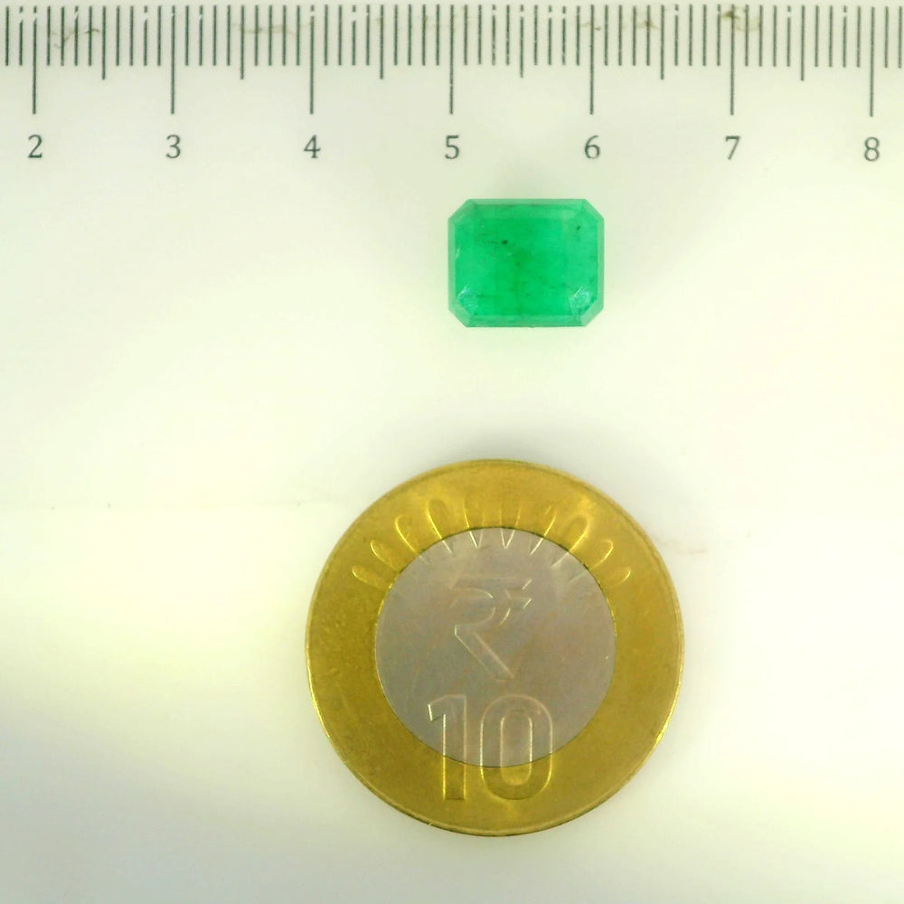 IGITL_205650_SCALE.webp