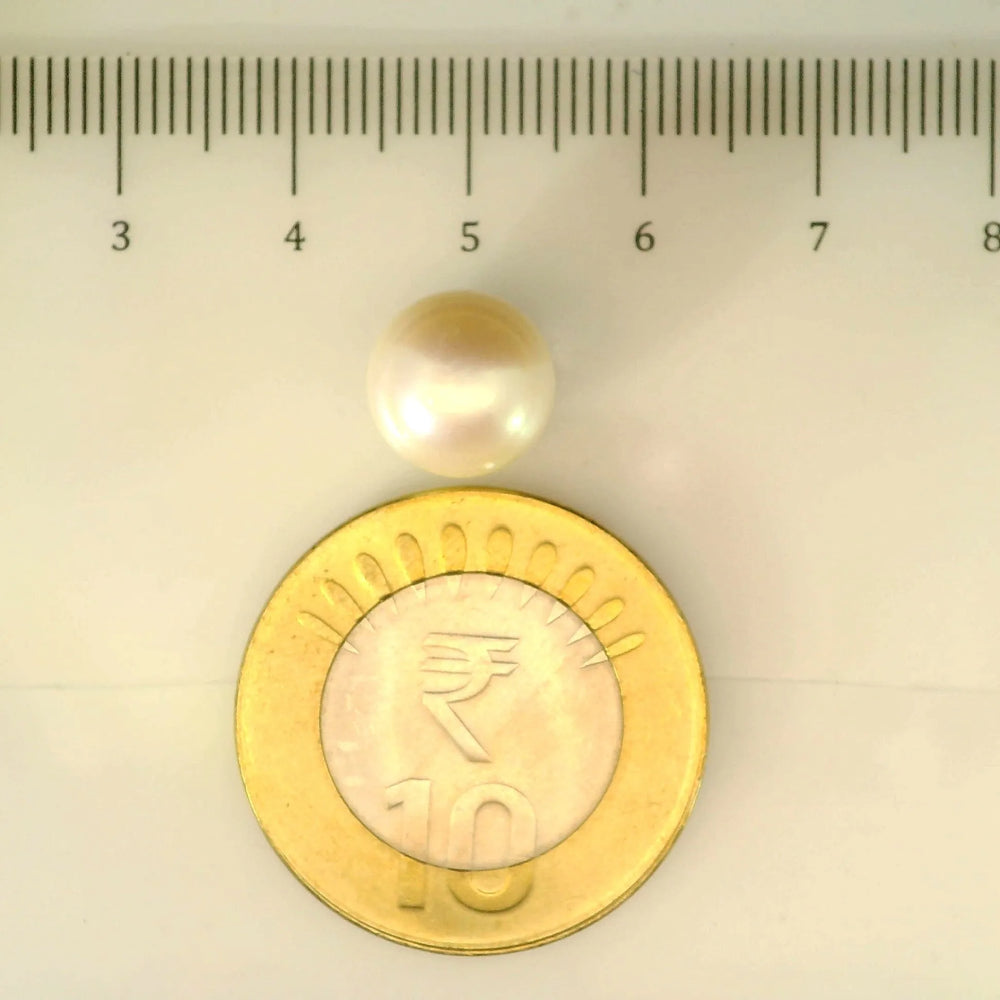 ITLGR_107016_SCALE.webp