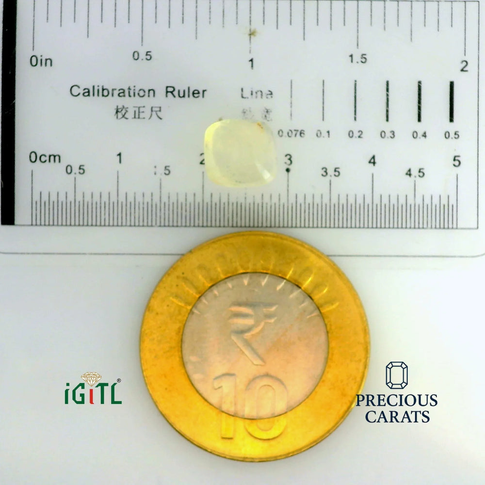 IGITL_197741_SCALE.webp
