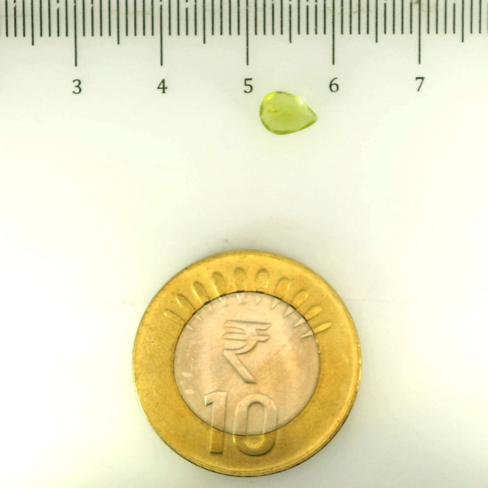 ITLGR_109372_SCALE.webp