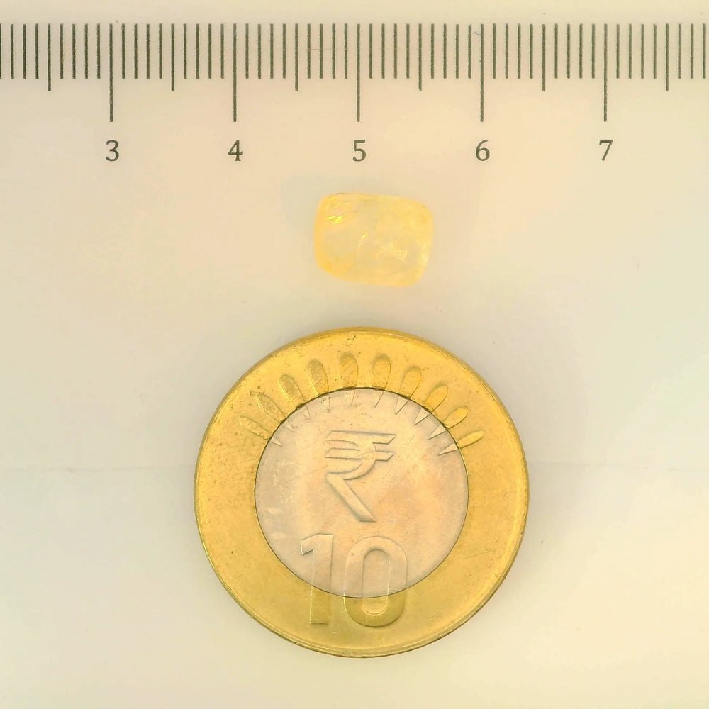 IGITL_200259_SCALE.webp