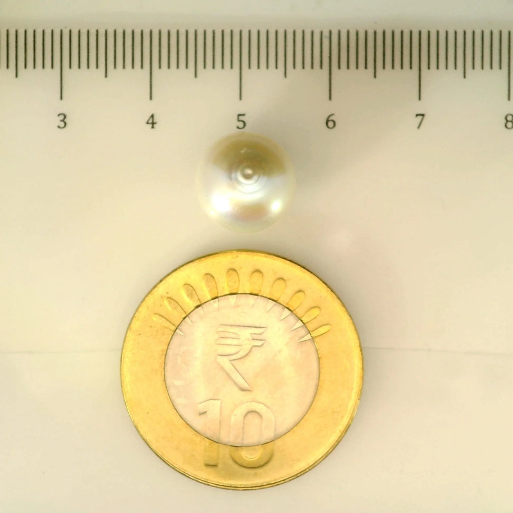 ITLGR_107013_SCALE.webp