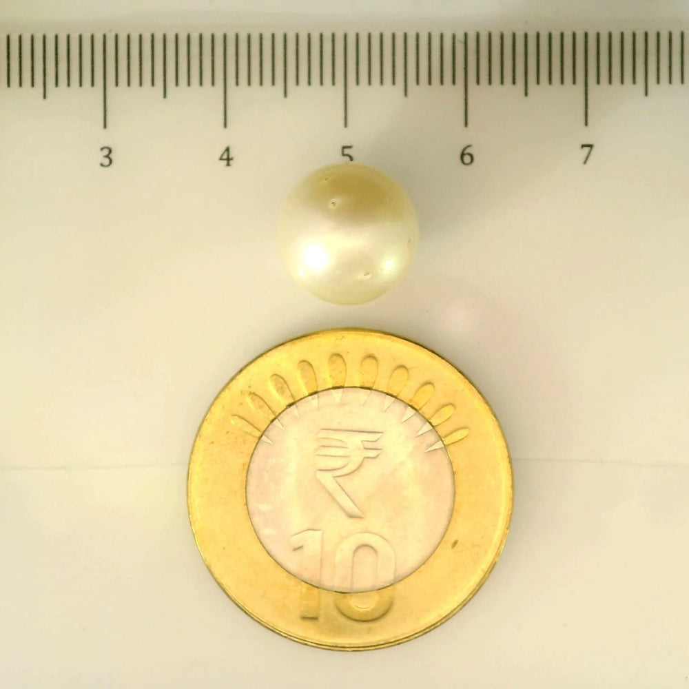 ITLGR_106916_SCALE.webp