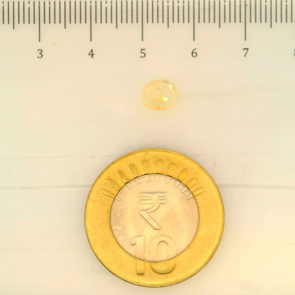 ITLGR_104954_SCALE.webp