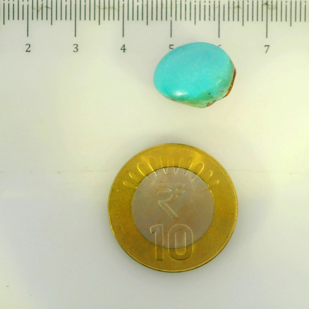 ITLGR_107240_SCALE.webp