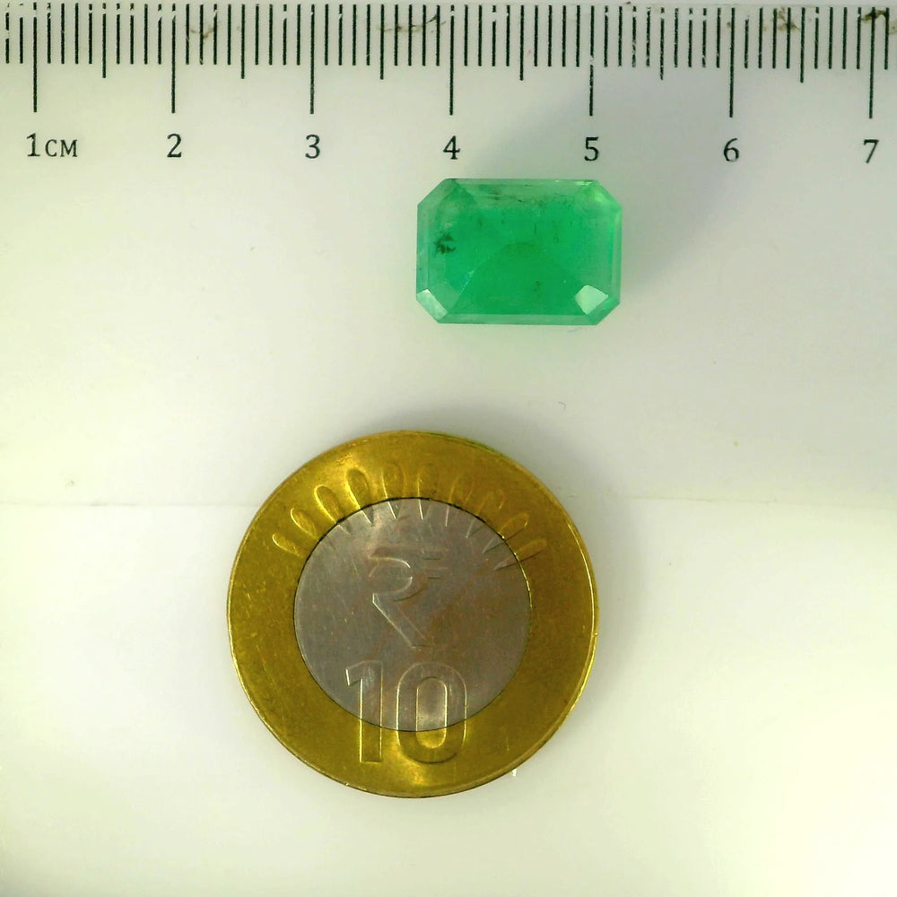 IGITL_205638_SCALE.webp