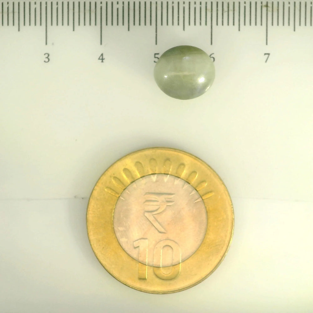 ITLGR_109770_SCALE.webp