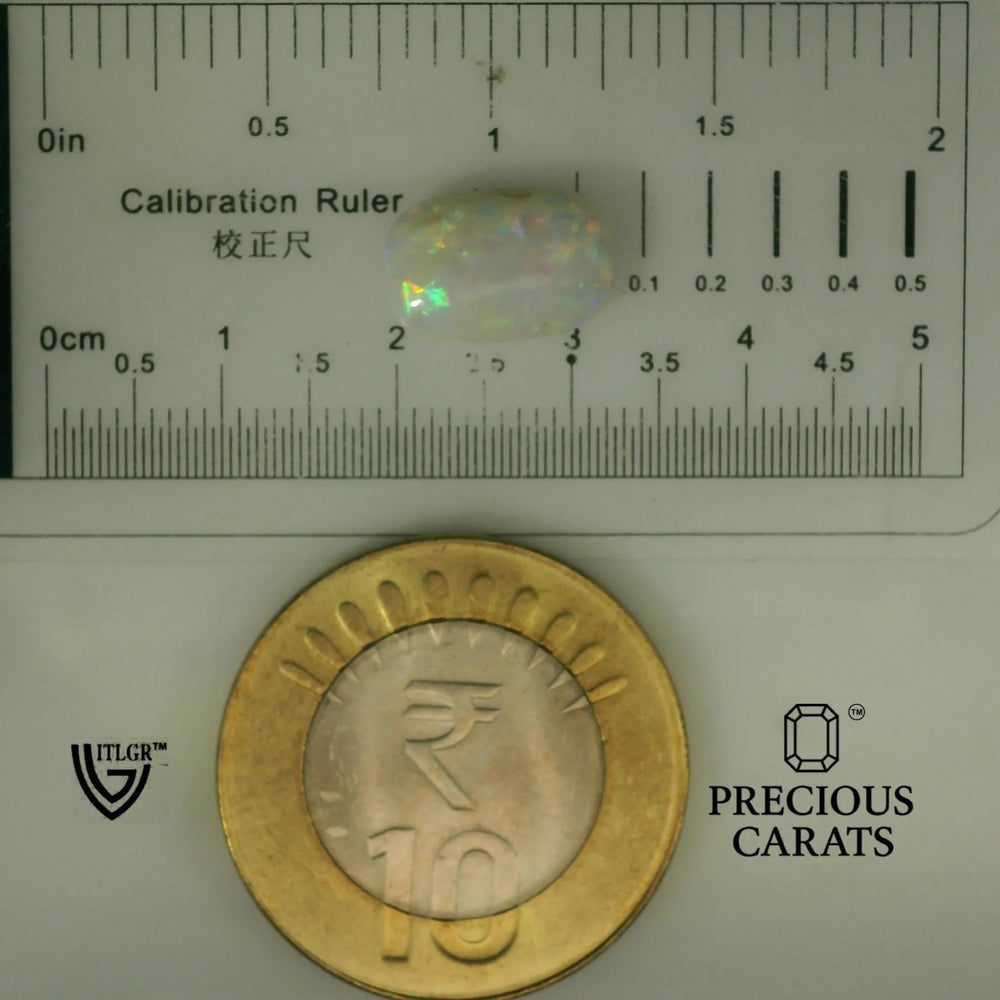 ITLGR_102006_SCALE.webp