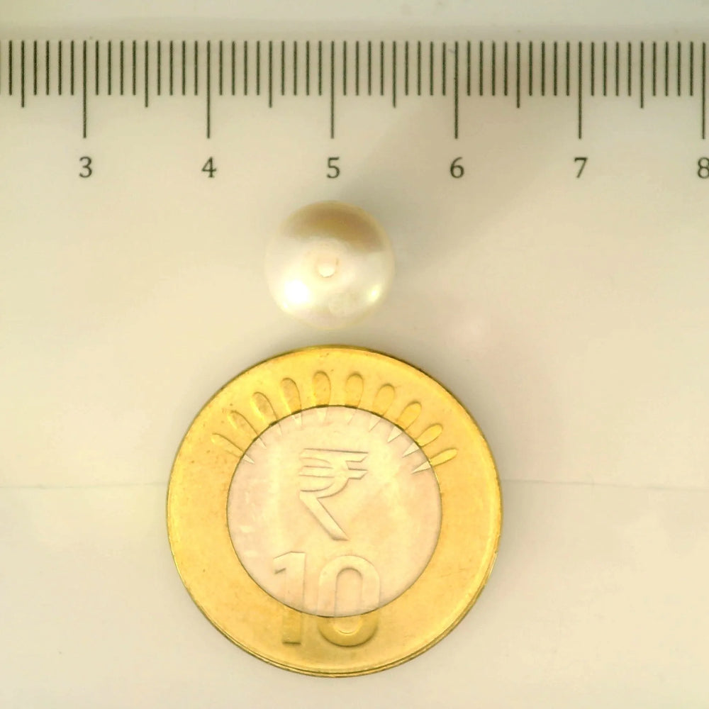 ITLGR_107007_SCALE.webp