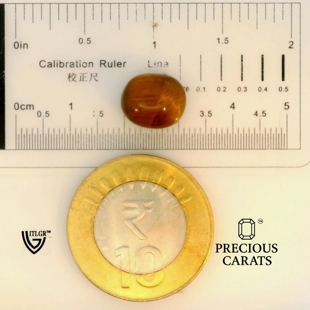 ITLGR_104473_SCALE.webp