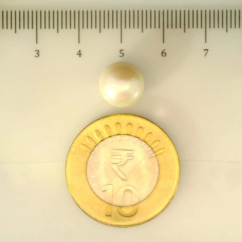ITLGR_106996_SCALE.webp
