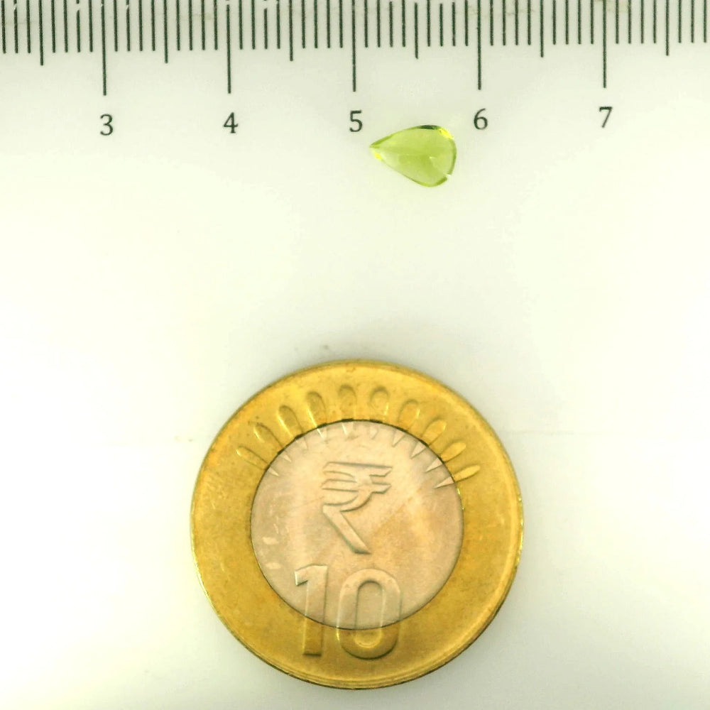 ITLGR_109365_SCALE.webp