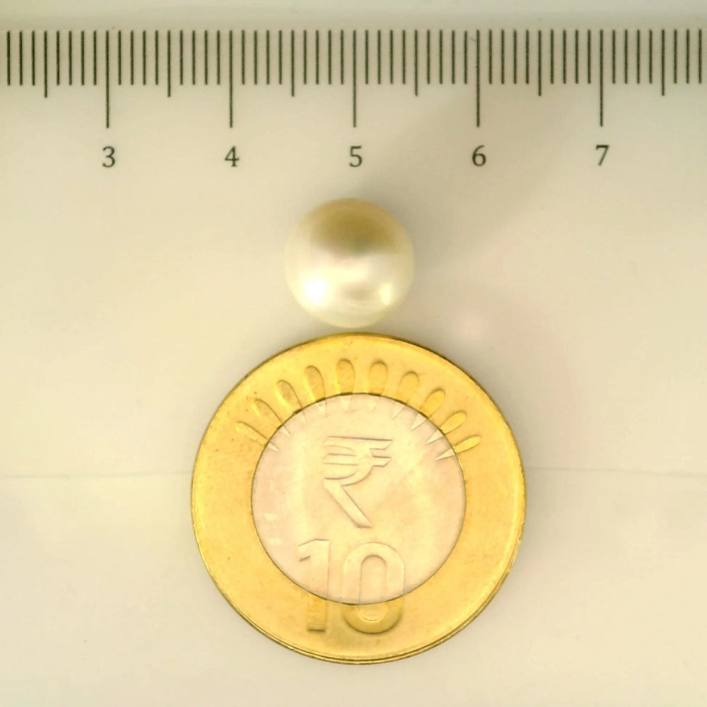 ITLGR_106993_SCALE.webp