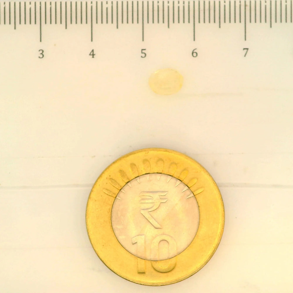 ITLGR_104921_SCALE.webp