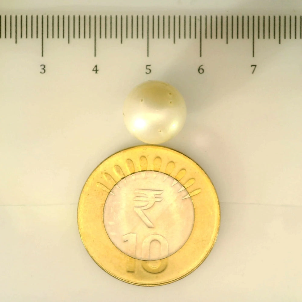 ITLGR_106926_SCALE.webp