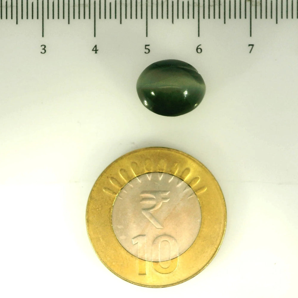 ITLGR_107076_SCALE.webp