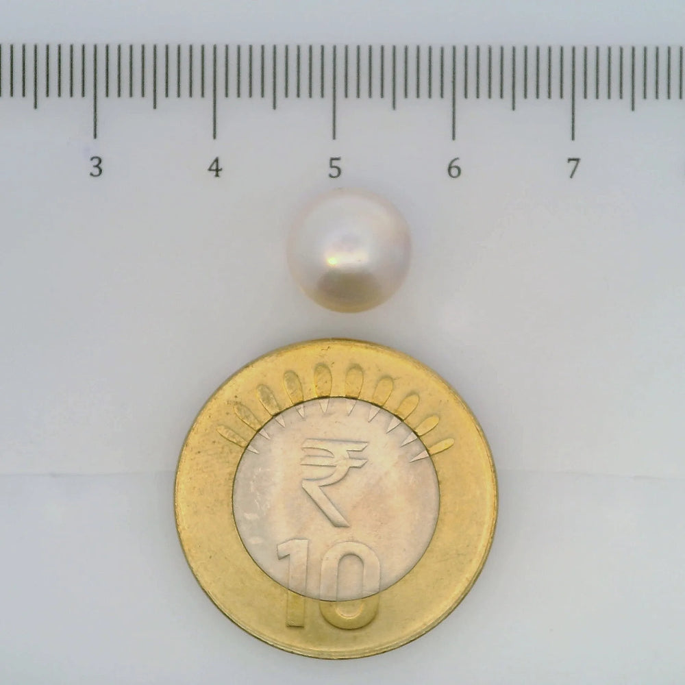 ITLGR_107036_SCALE.webp