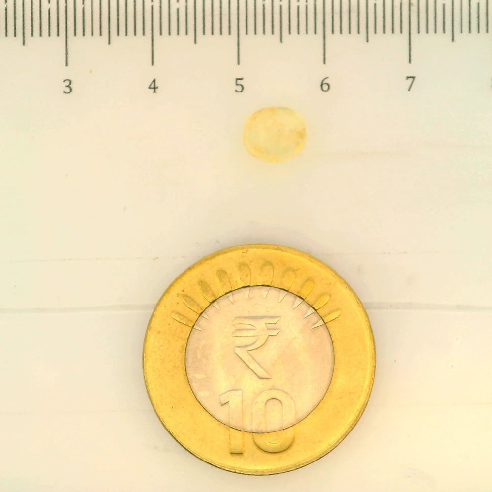 ITLGR_104932_SCALE.webp