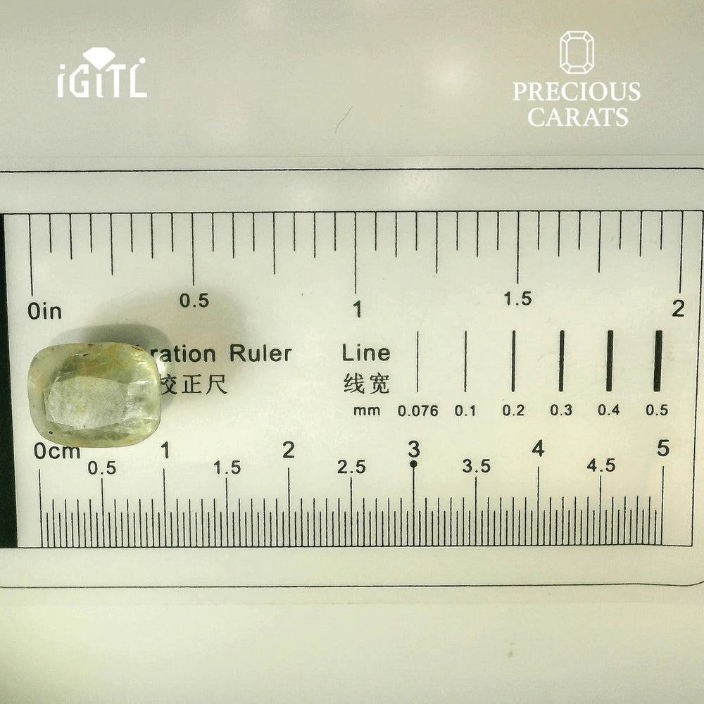 IGITL_194723_SCALE.webp