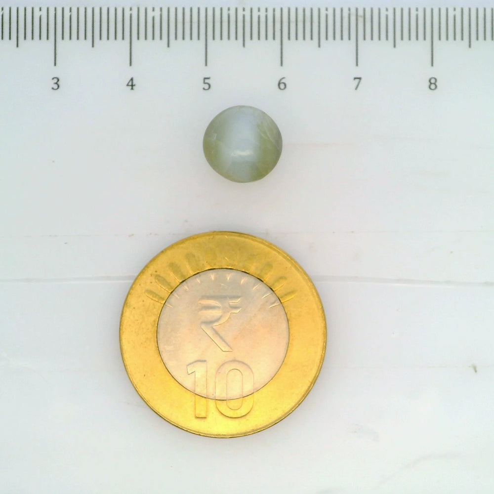 ITLGR_109814_SCALE.webp