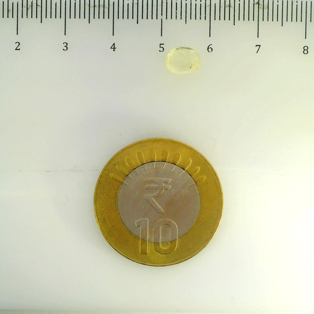 ITLGR_104919_SCALE.webp