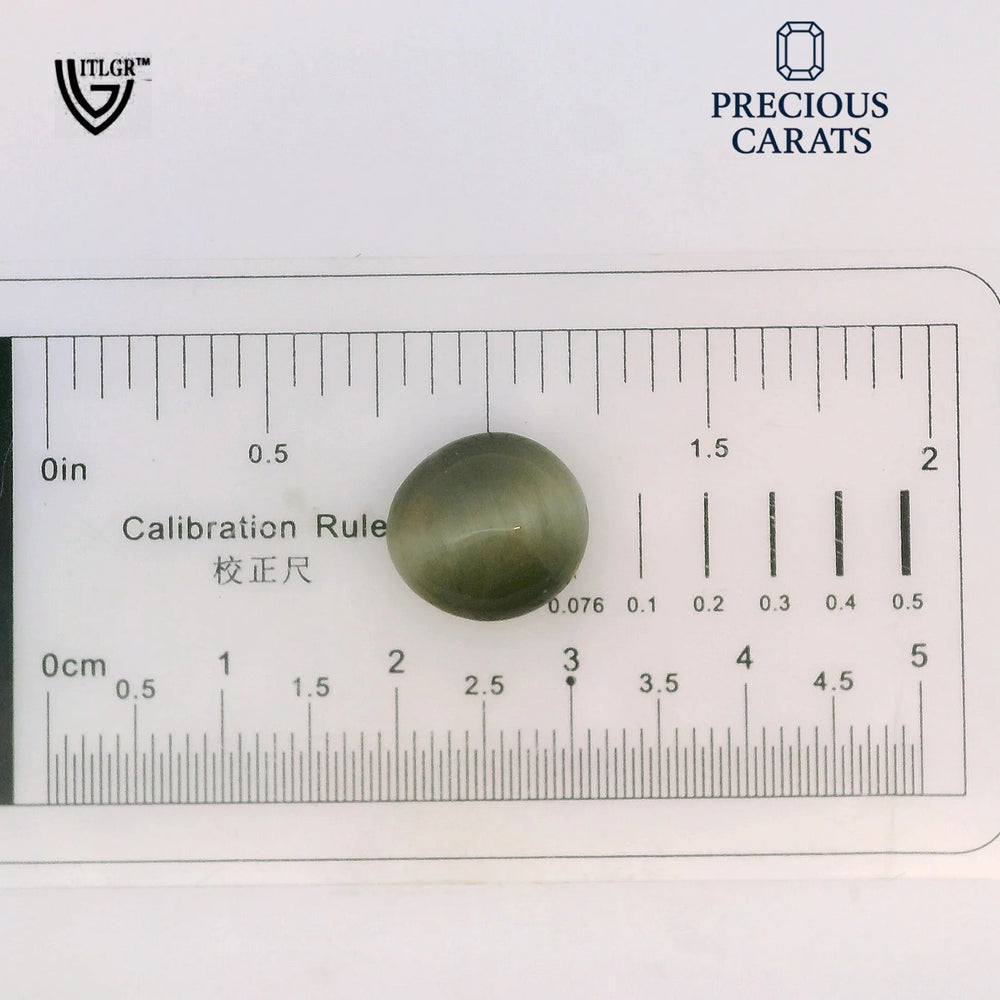 ITLGR_100597_SCALE.webp