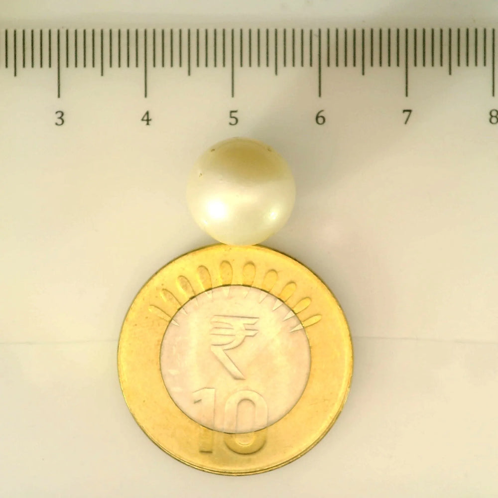 ITLGR_106935_SCALE.webp