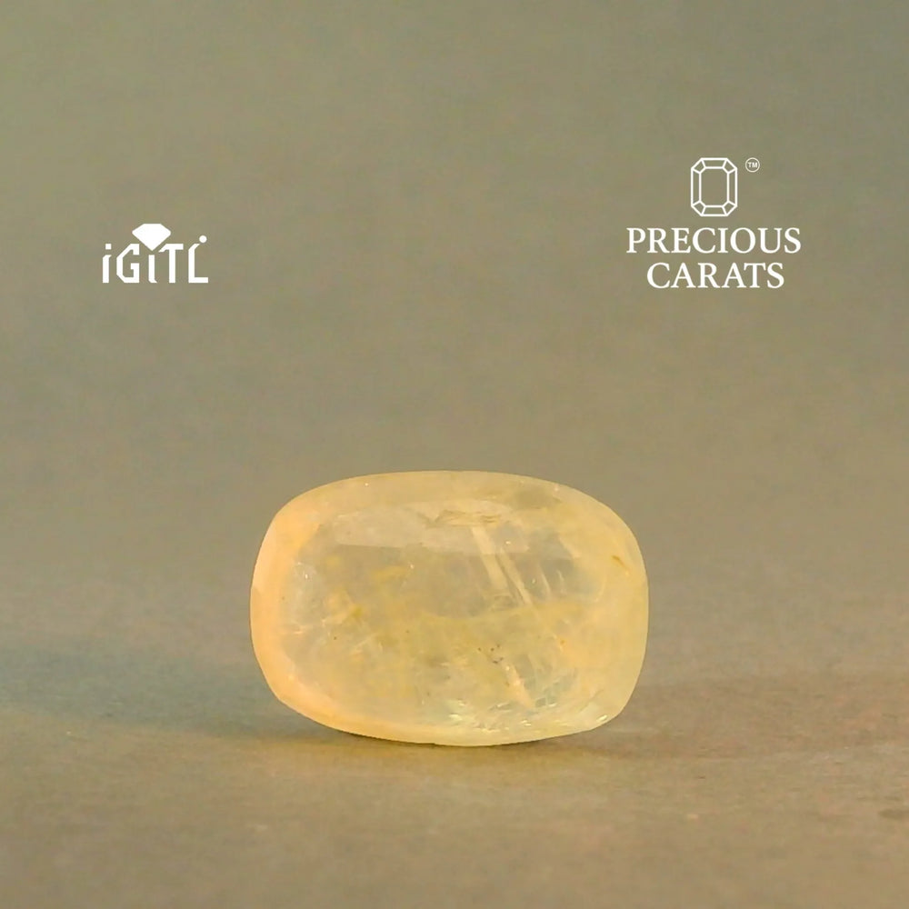 IGITL_201540_BACK.webp