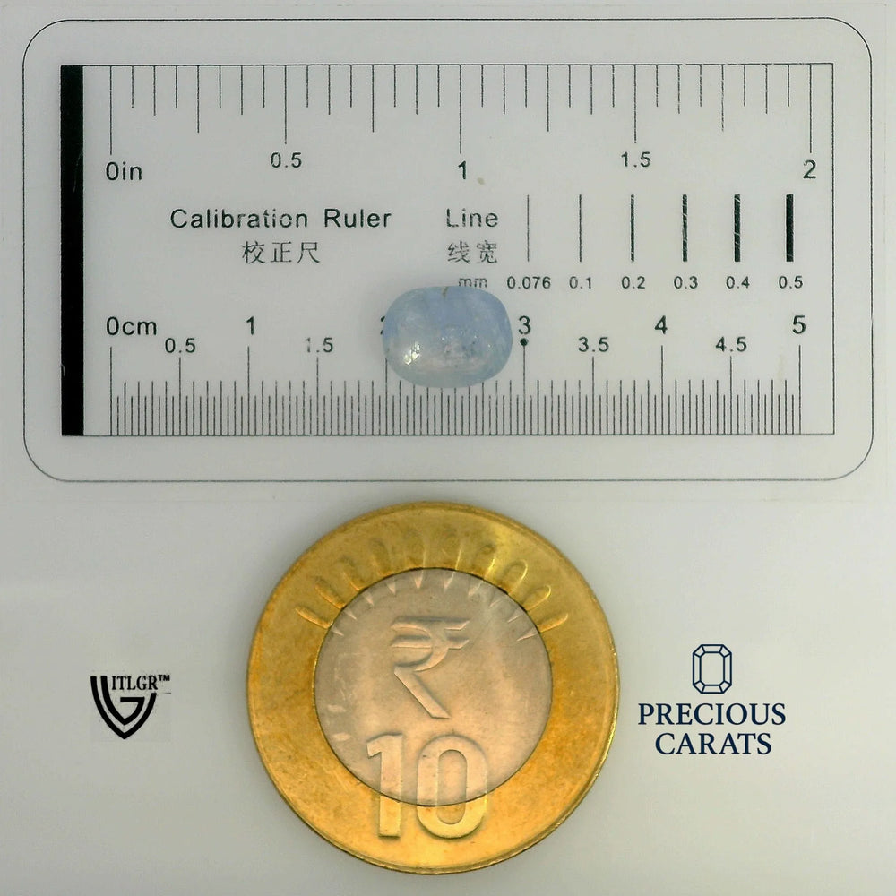 ITLGR_99087_SCALE.webp