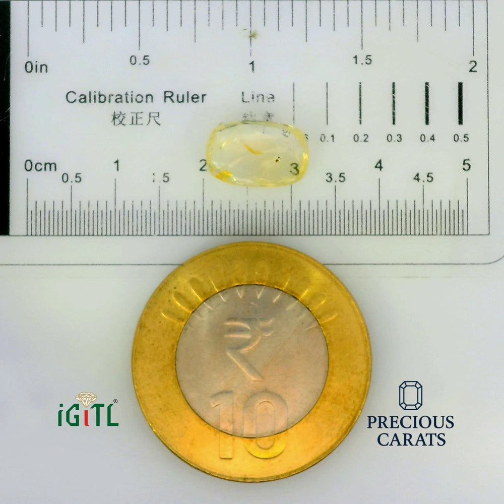 IGITL_197801_SCALE.webp