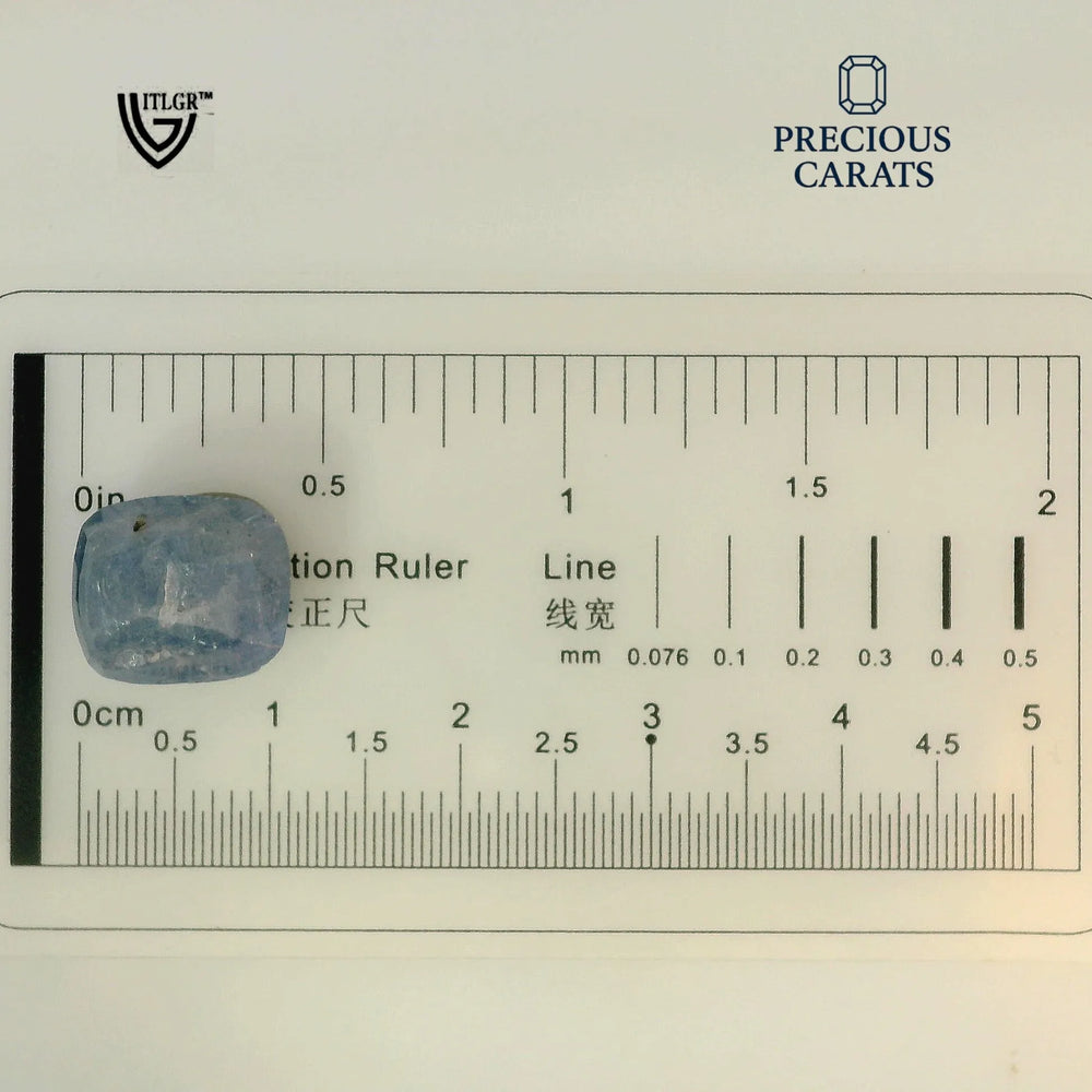 ITLGR_99036_SCALE.webp