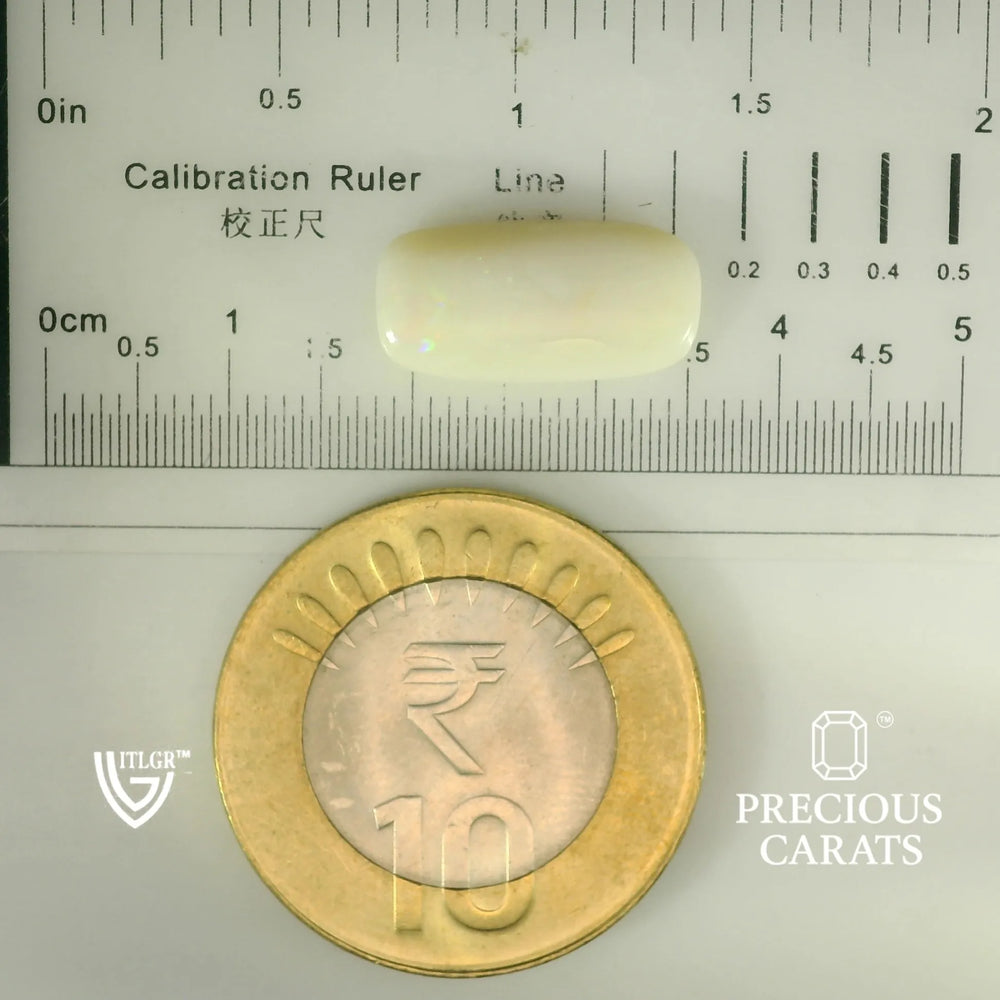 ITLGR_101877_SCALE.webp