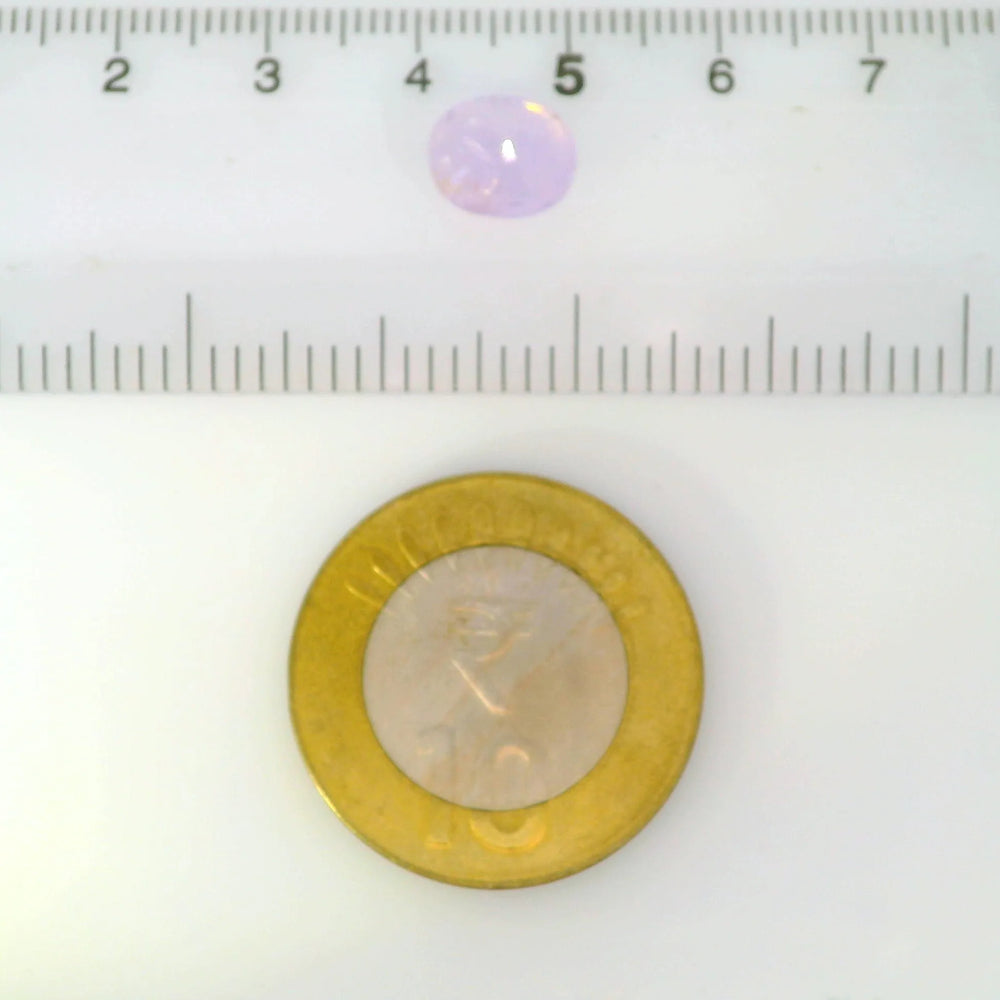 ITLGR_121670_SCALE.webp