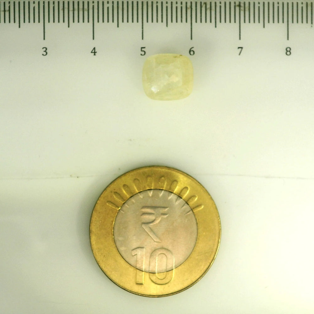 IGITL_201541_SCALE.webp