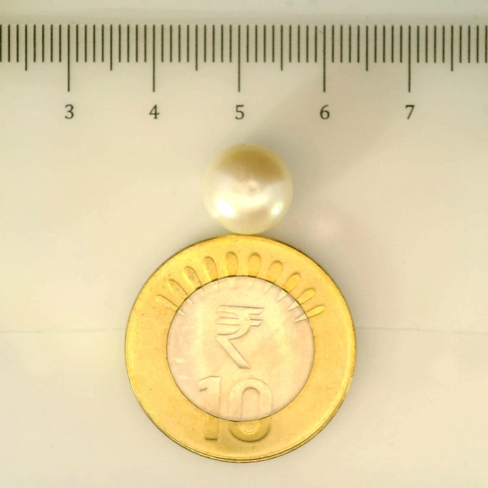 ITLGR_107001_SCALE.webp