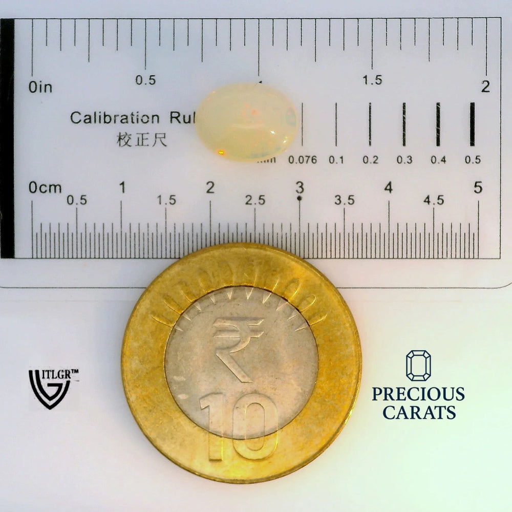 ITLGR_100542_SCALE.webp