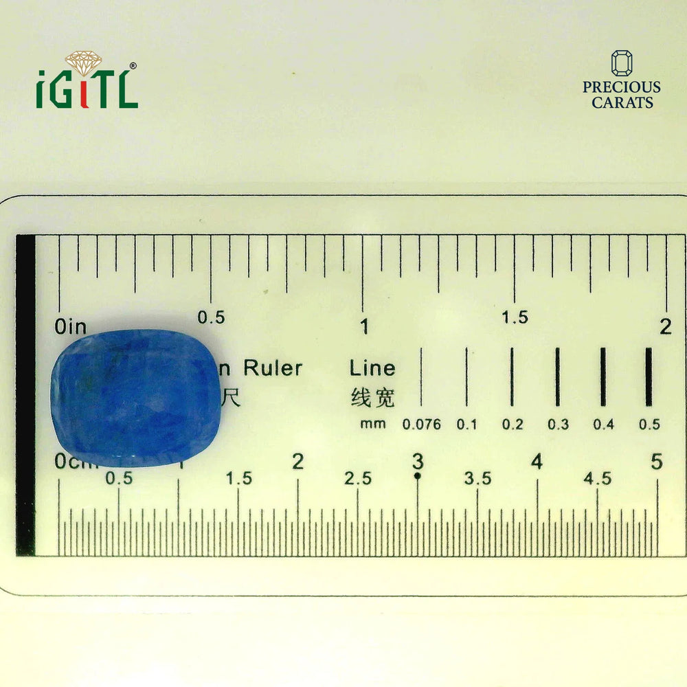 IGITL_194678_SCALE.webp