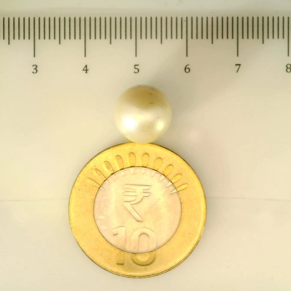 ITLGR_106936_SCALE.webp
