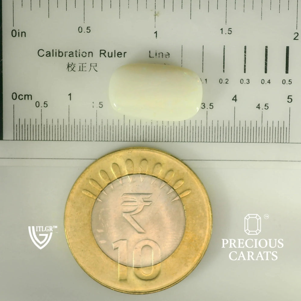 ITLGR_101869_SCALE.webp