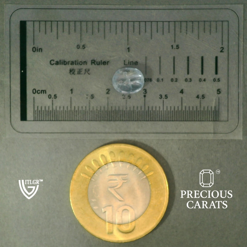 ITLGR_100443_SCALE.webp