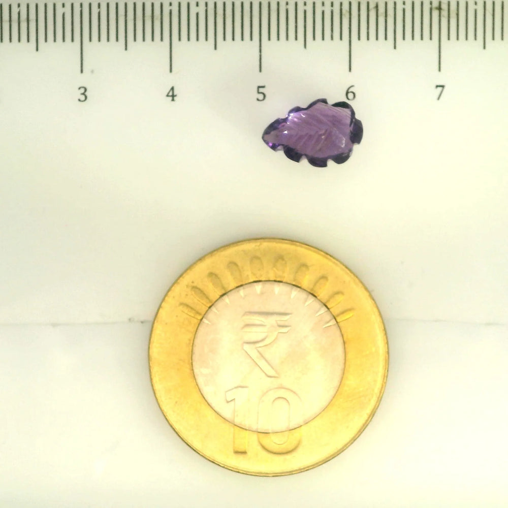 ITLGR_109447_SCALE.webp
