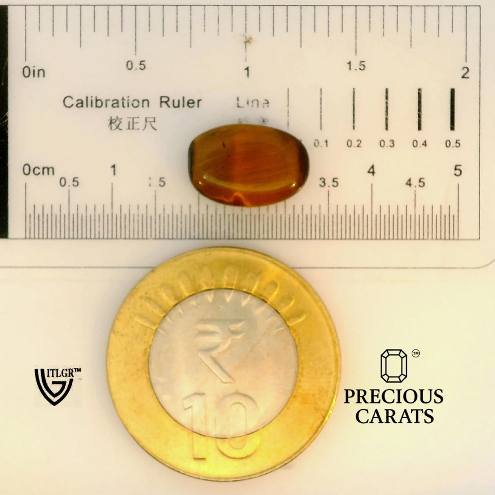 ITLGR_104466_SCALE.webp
