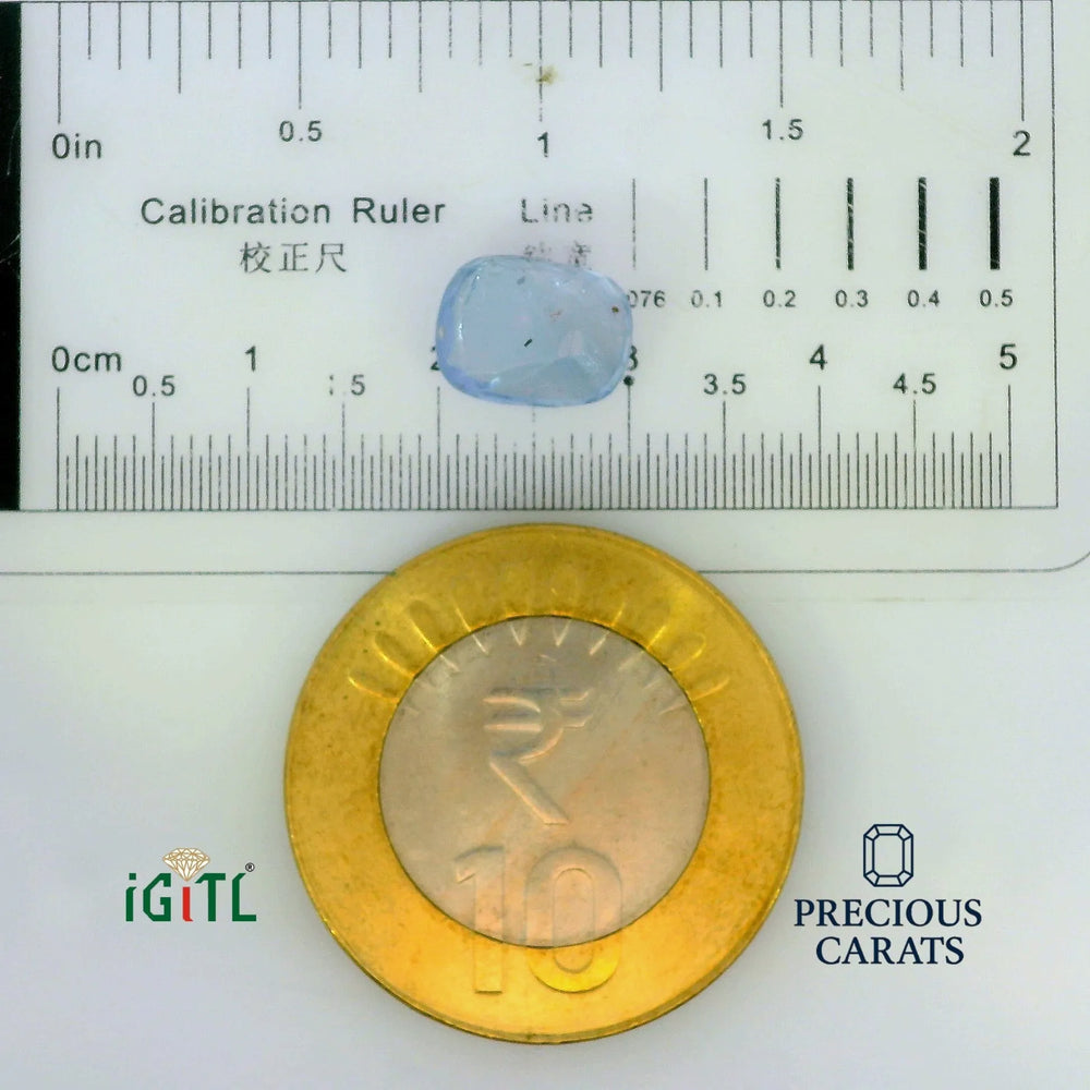 IGITL_197782_SCALE.webp